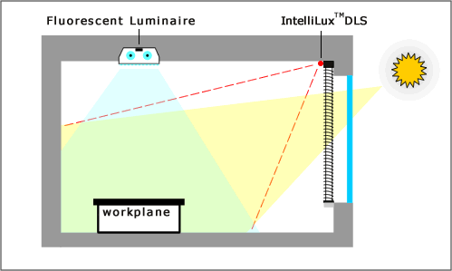 Because the IntelliLux DLS is immune to artificial light, it can be co-located with the rest of the electronics at the top of the window, allowing it to look down on the workplane and eliminating the need for remote sensors and associated wiring